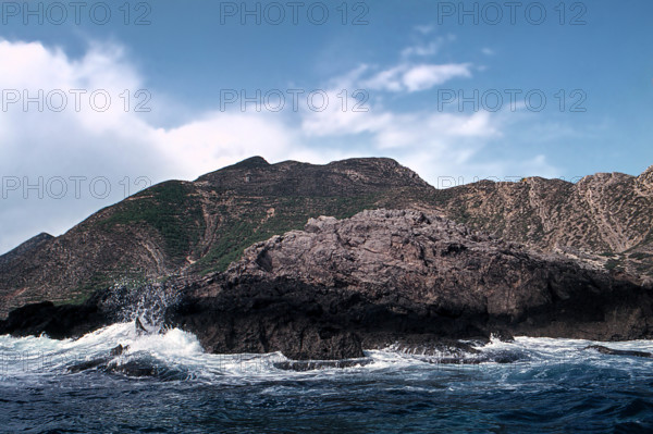 Nature, Italy, region of Sicilia 1975 Isole Egadi, Isola di Marettimo (Egadi Islands,  Marettimo Island).