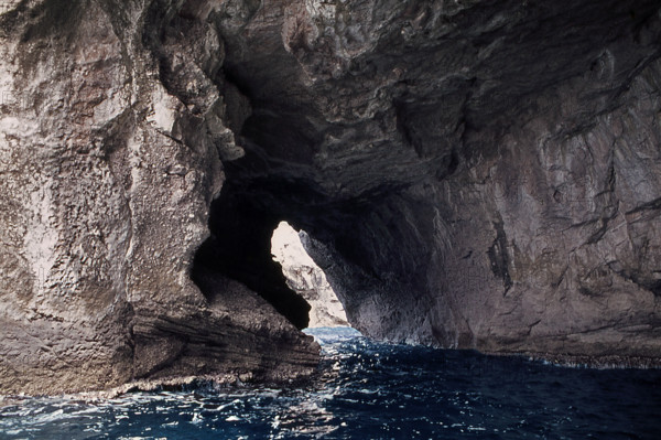 Nature, Italy, region of Sicilia 1975 Isole Egadi, Isola di Marettimo (Egadi Islands,  Marettimo Island).