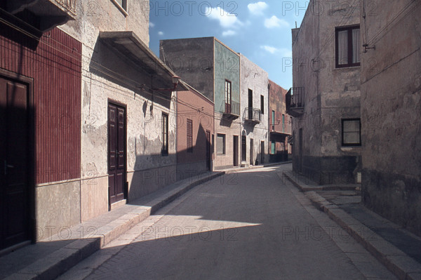 Nature, Italy, region of Sicilia 1975 Isole Egadi, Isola di Marettimo (Egadi Islands,  Marettimo Island).