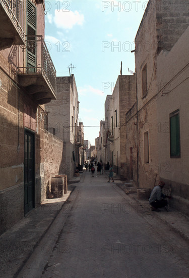 Nature, Italy, region of Sicilia 1975 Isole Egadi, Isola di Marettimo (Egadi Islands,  Marettimo Island).