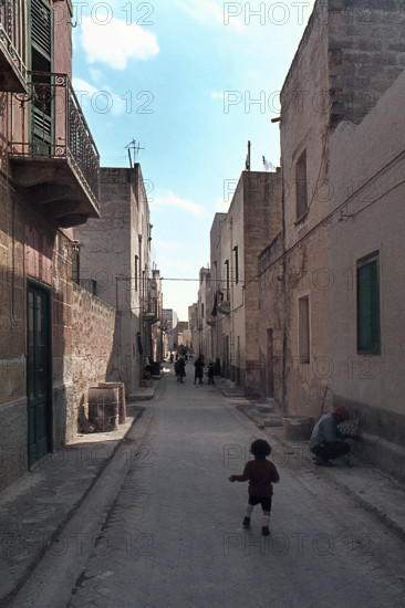 Nature, Italy, region of Sicilia 1975 Isole Egadi, Isola di Marettimo (Egadi Islands,  Marettimo Island).