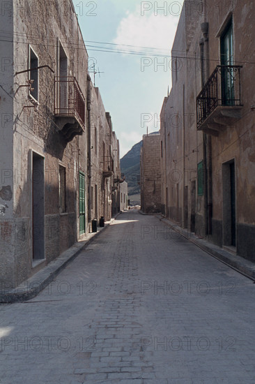 Nature, Italy, region of Sicilia 1975 Isole Egadi, Isola di Marettimo (Egadi Islands,  Marettimo Island).