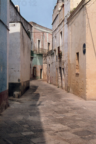 Nature, Italy, region of Sicilia 1975 Isole Egadi, Isola di Marettimo (Egadi Islands,  Marettimo Island).
