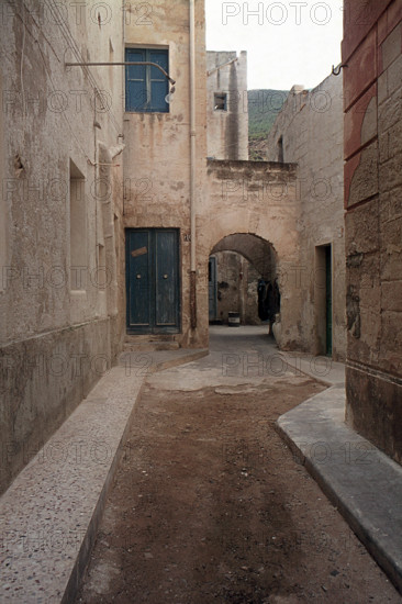 Nature, Italy, region of Sicilia 1975 Isole Egadi, Isola di Marettimo (Egadi Islands,  Marettimo Island).