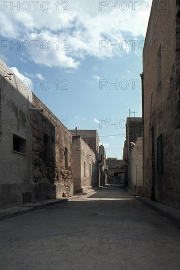 Nature, Italy, region of Sicilia 1975 Isole Egadi, Isola di Marettimo (Egadi Islands,  Marettimo Island).