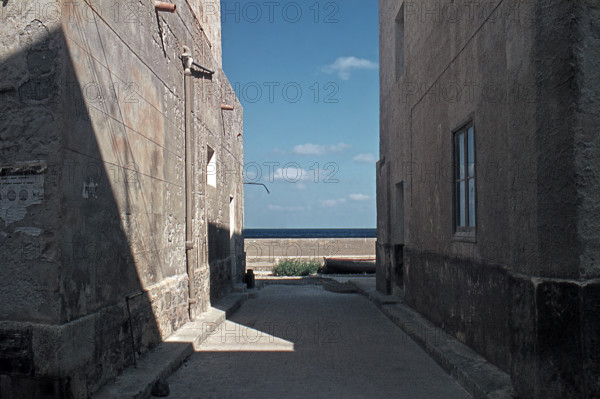 Nature, Italy, region of Sicilia 1975 Isole Egadi, Isola di Marettimo (Egadi Islands,  Marettimo Island).