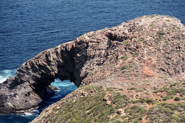 Nature, Italy, region of Sicilia 1975 Isola di Pantelleria (Pantelleria Island).
