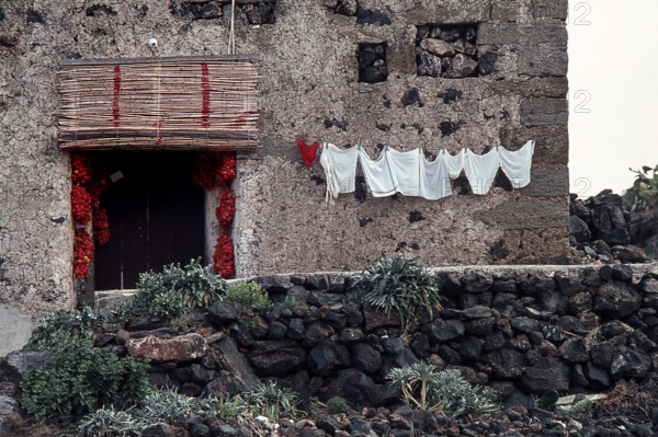 Nature, Italy, region of Sicilia 1975 Isola di Pantelleria (Pantelleria Island).