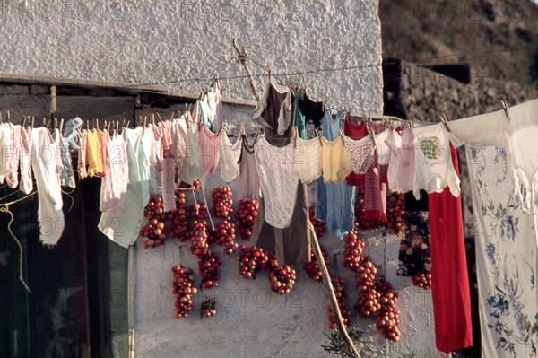 Nature, Italy, region of Sicilia 1975 Isola di Pantelleria (Pantelleria Island).