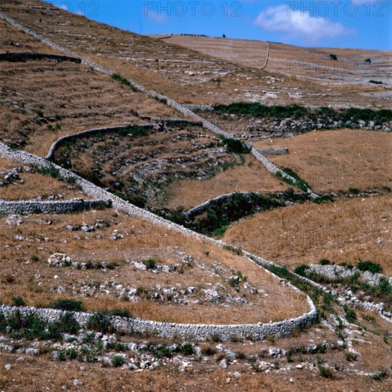 Nature, Italy, region of Sicilia 1975 Muri a secco nel Ragusano (Dry Stone walls in the Ragusano).