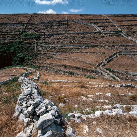 Nature, Italy, region of Sicilia 1975 Muri a secco nel Ragusano (Dry Stone walls in the Ragusano).