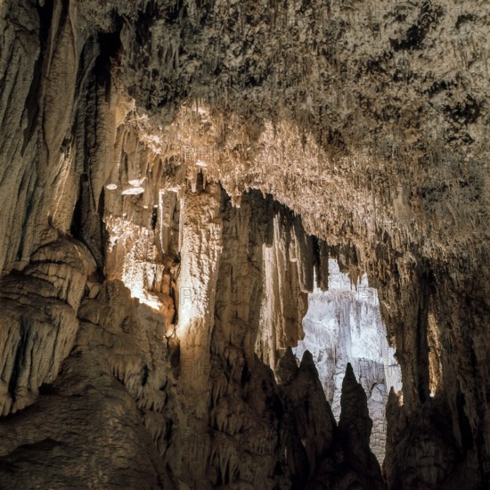 Nature, Italy, region of Sardegna 1975 Riviera del Corallo - Capo Caccia - Grotte di Nettuno (Coral Riviera - Caccia Cape - Neptune Caves).