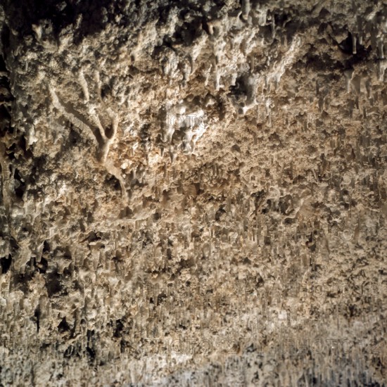 Nature, Italy, region of Sardegna 1975 Riviera del Corallo - Capo Caccia - Grotte di Nettuno (Coral Riviera - Caccia Cape - Neptune Caves).