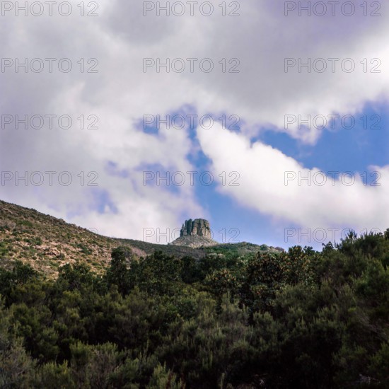 Nature, Italy, region of Sardegna 1975 Massiccio del Gannargentu (Gennargentu Massif).