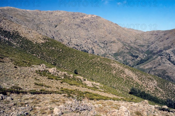 Nature, Italy, region of Sardegna 1975 Massiccio del Gannargentu (Gennargentu Massif).