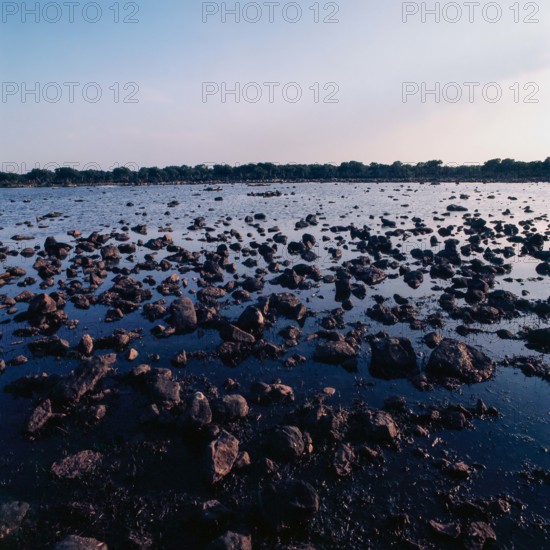 Nature, Italy, region of Sardegna 1975 Giara di Gesturi ""Sa Jara Manna"" (Giara Park).