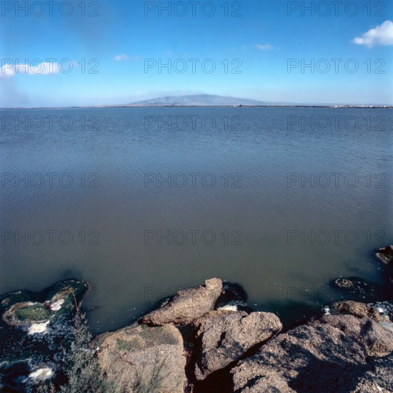 Nature, Italy, region of Sardegna 1975 Stagno Di Cabras (Cabras Pond).