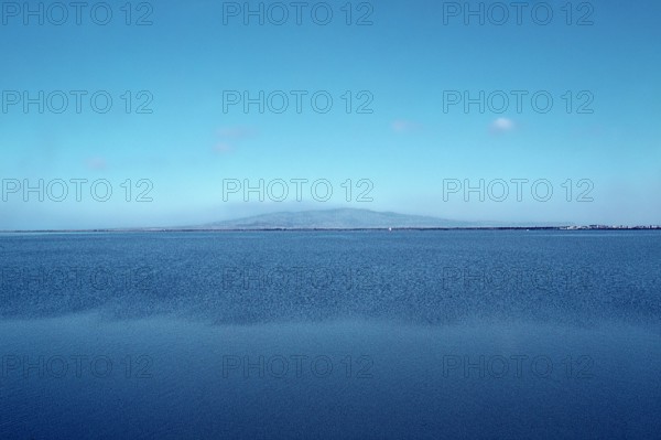 Nature, Italy, region of Sardegna 1975 Stagno Di Cabras (Cabras Pond).