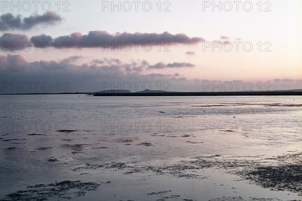 Nature, Italy, region of Sardegna 1975 Stagno Di Cabras (Cabras Pond).