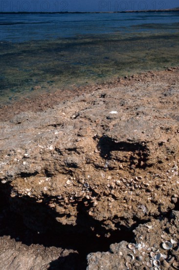 Nature, Italy, region of Sardegna 1975 Lago di Baratz (Baratz Lake).