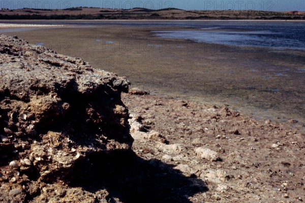 Nature, Italy, region of Sardegna 1975 Lago di Baratz (Baratz Lake).