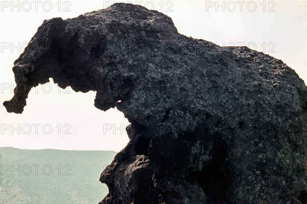 Nature, Italy, region of Sardegna 1975 Roccia dell'Elefante (Elephant Rock).
