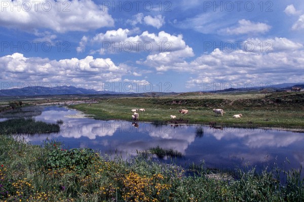 Nature, Italy, region of Sardegna 1975 Territorio del Sassarese (Sassari Territory).