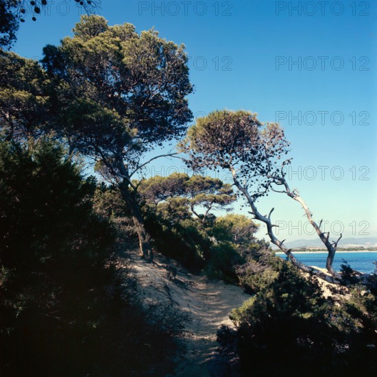 Nature, Italy, region of Sardegna 1975 Capo Teulada - Porto Pino (Teulada Cape - Porto Pino).