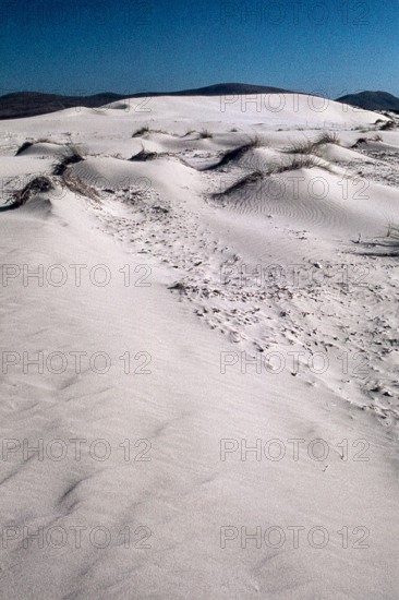 Nature, Italy, region of Sardegna 1975 Capo Teulada - Porto Pino (Teulada Cape - Porto Pino).
