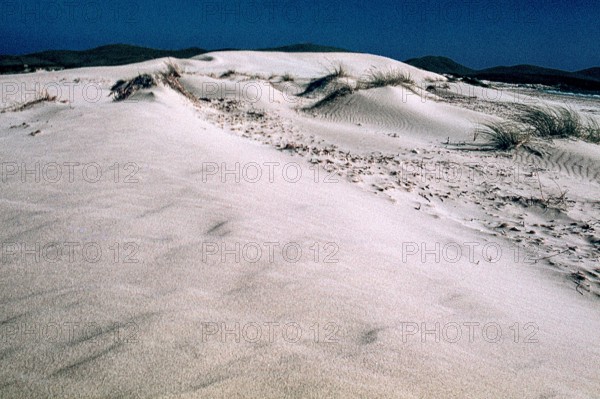 Nature, Italy, region of Sardegna 1975 Capo Teulada - Porto Pino (Teulada Cape - Porto Pino).