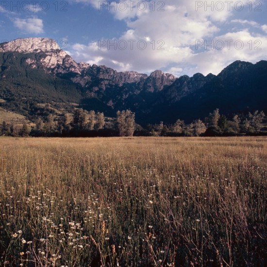 Nature, Italy, region of Abruzzo,  1975 Abruzzo Natural Park natural reserve.