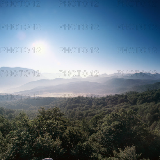 Nature, Italy, region of Abruzzo, 1975 Abruzzo Natural Park natural reserve.