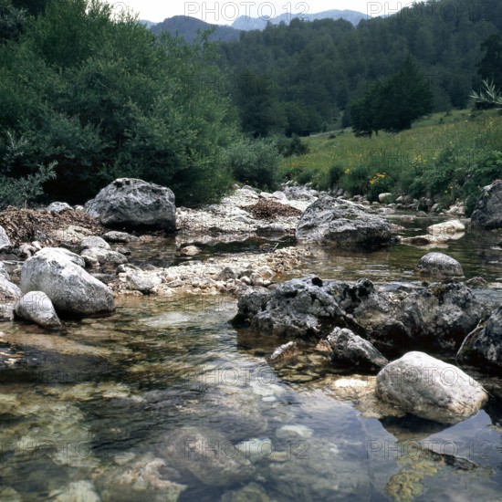 Nature, Italy, region of Abruzzo, 1975 Abruzzo Natural Park natural reserve.
