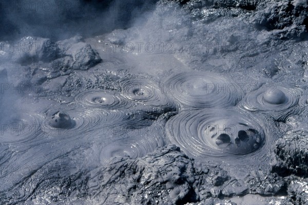 Nature, Italy, region of Campania, 1975 Solfatara of Pozzuoli.