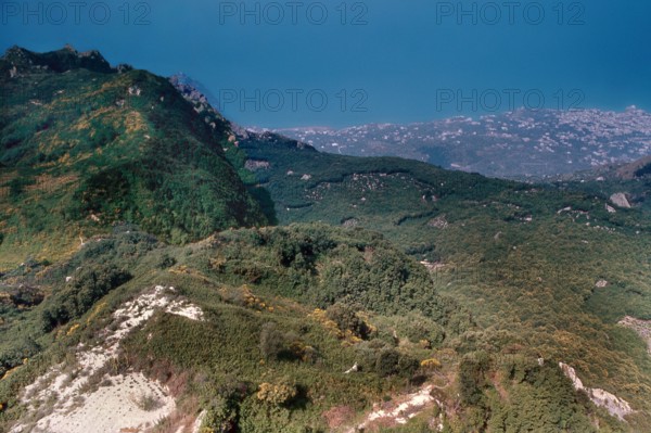 Nature, Italy, region of Campania, 1975 Ischia Monte Epomeo.