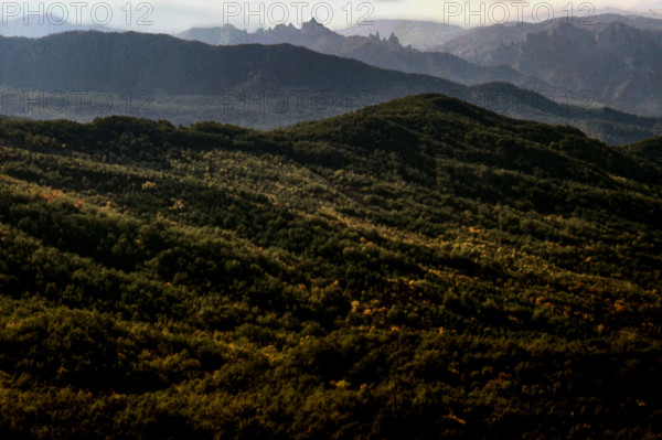 Nature, Italy, region of Basilicata, 1975 Dolomiti Lucane Regional Park.