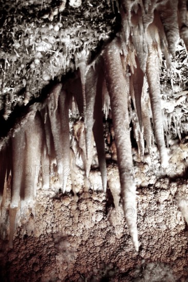 Nature, Italy, region of Puglia 1975 Grotte di Catellana (Castellana caves).