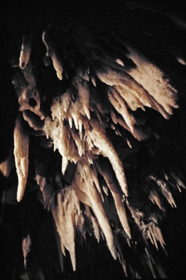 Nature, Italy, region of Puglia 1975 Grotte di Catellana (Castellana caves).