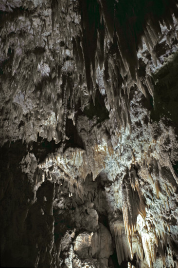 Nature, Italy, region of Puglia 1975 Grotte di Catellana (Castellana caves).