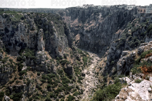 Nature, Italy, region of Puglia 1975 Gravina di Castellaneta.