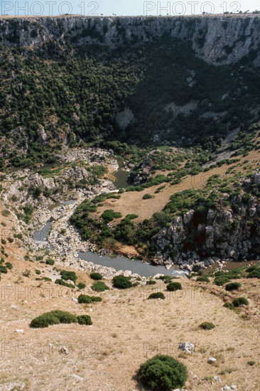 Nature, Italy, region of Puglia 1975 Gravina di Laterza.