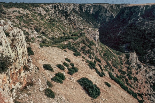Nature, Italy, region of Puglia 1975 Gravina di Laterza.