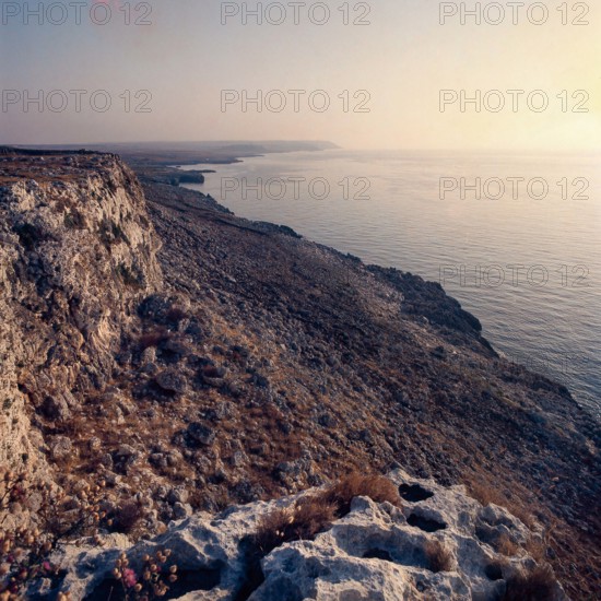 Nature, Italy, region of Puglia 1975 Costa del Salento (Salento coast).
