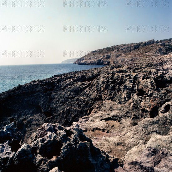Nature, Italy, region of Puglia 1975 Costa del Salento (Salento coast).