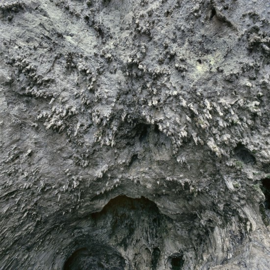 Nature, Italy, region of Puglia 1975 Costa del Salento-Grotta Zinzulusa (Salento coast- Zinzulusa cave).