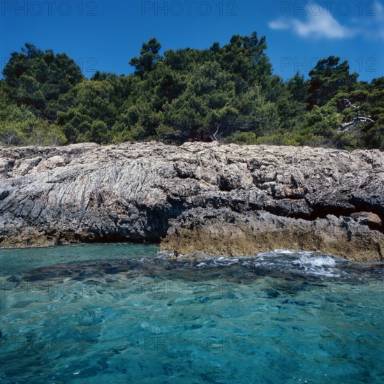Nature, Italy, region of Puglia 1975 Isole Tremiti (Tremiti islands).