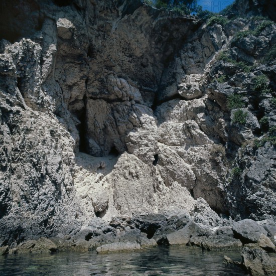 Nature, Italy, region of Puglia 1975 Isole Tremiti (Tremiti islands).
