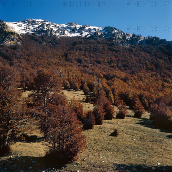 Nature, Italy, region of Calabria 1975 Comprensorio del Pollino - Monte Pollino (Pollino Mountain-Calabria National Park).