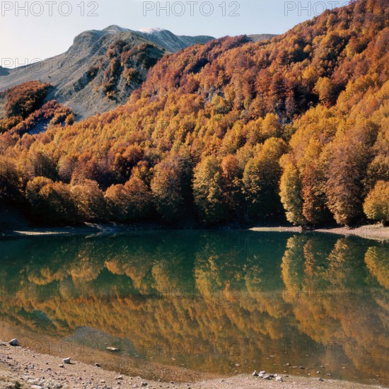 Nature, Italy, region of Calabria 1975 Comprensorio del Pollino - Monte Pollino (Pollino Mountain-Calabria National Park).