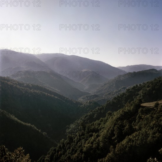 Nature, Italy, region of Calabria Serre Calabresi (Calabrese Greenhouses).